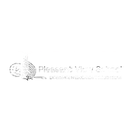 Pleasant View School logo